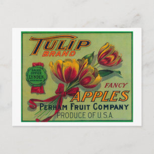 Lynden, Washington Tulip Apple Crate Label Postkarte