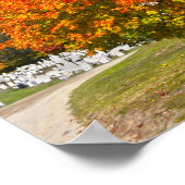 Lyndon Town House, Vermont Poster (Ecke)