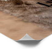 Lynx 5214 poster (Ecke)