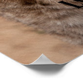 Lynx 5214 poster (Ecke)