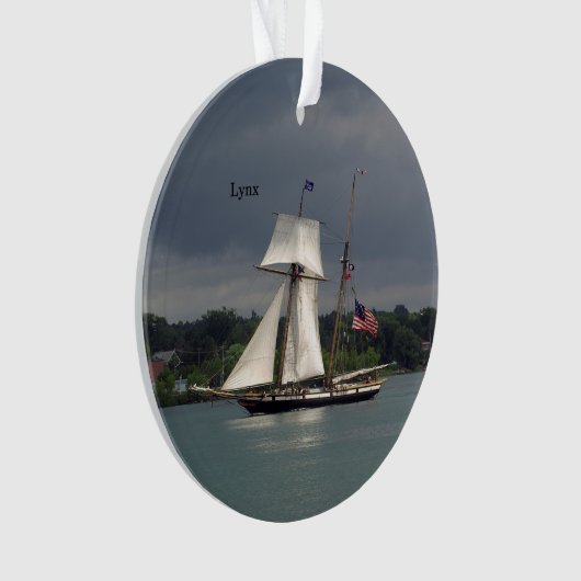 Lynx Acrylschmuck Ornament (Vorderseite)