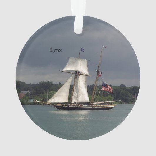 Lynx Acrylschmuck Ornament (Rückseite)