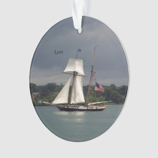 Lynx Acrylschmuck Ornament (Vorderseite)