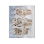 Lynx Animal Family Wandering Nature Notizblock (Rotiert)