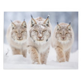 Lynx Animal Family Wandering Nature Notizblock (Vorderseite)