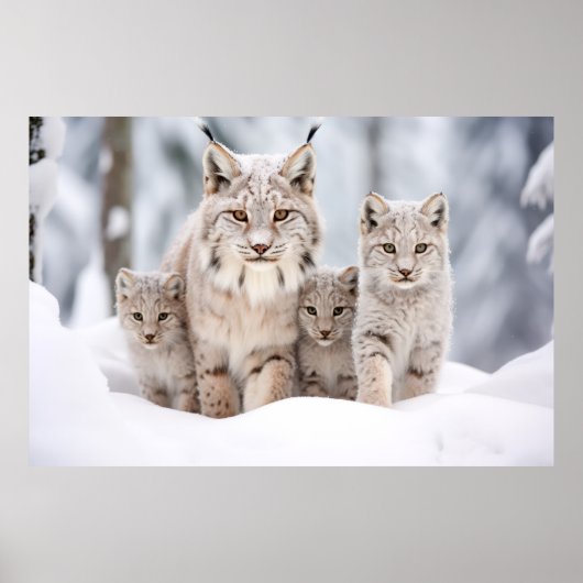 Lynx Animal Family Wandering Nature Poster (Vorne)