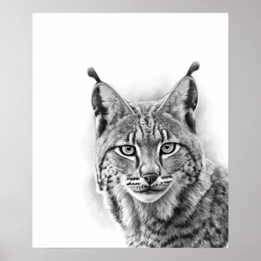 Lynx Cat Sketch Portrait Schwarz-weiß Poster (Vorne)