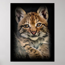 Lynx Cub Poster