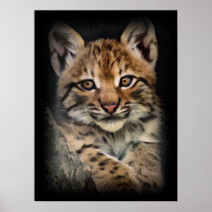 Lynx Cub Poster