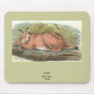 Lynx, Felis lynx Mousepad