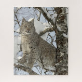 Lynx im Winter Foto Puzzle (Vertikal)