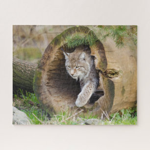 Lynx in Log Jigsaw Puzzle