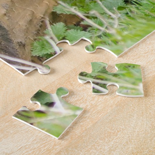 Lynx in Log Jigsaw Puzzle (Seite)