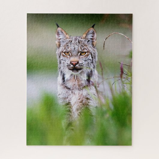 Lynx Jigsaw Puzzle (Vertikal)