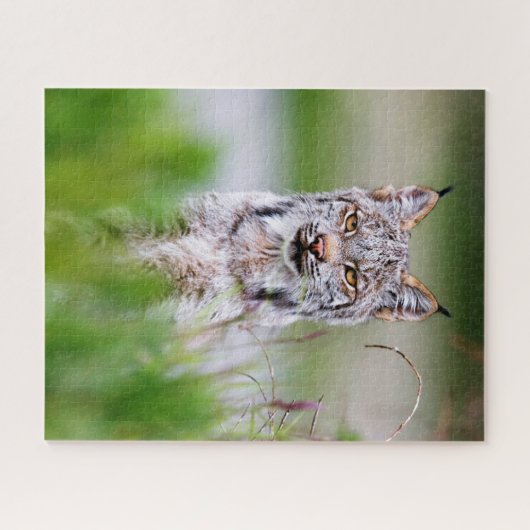 Lynx Jigsaw Puzzle (Horizontal)