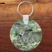 Lynx, junge Kätzchen spielen Schlüsselanhänger (Vorderseite)