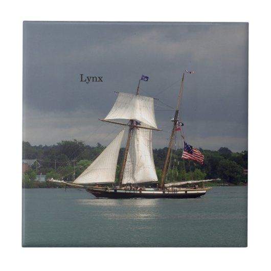 Lynx-Kachel Fliese (Vorderseite)