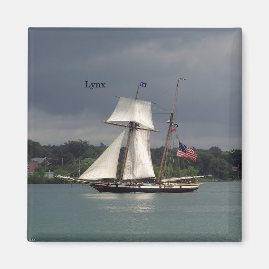 Lynx-Magnet Magnet (Vorne)