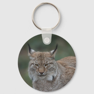 Lynx mit Blick auf die Klassik Schlüsselanhänger