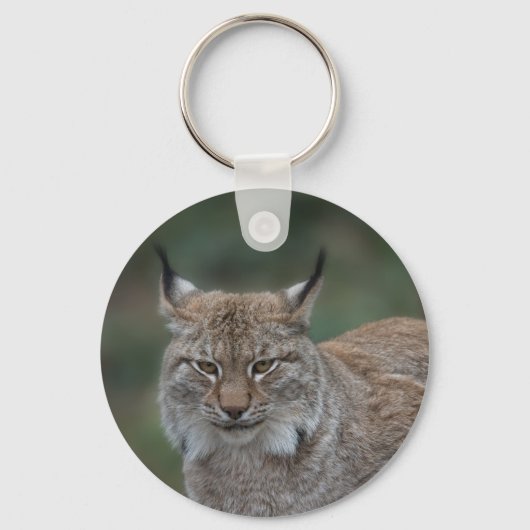 Lynx mit Blick auf die Klassik Schlüsselanhänger (Rückseite)