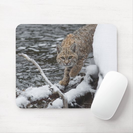 Lynx Mousepad (Mit Mouse)
