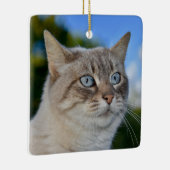 Lynx Point Katze mit blauen Augen Keramikornament (Rechts)