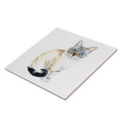 Lynx Point Siamese Cat Fliese (Seite)