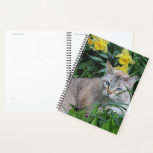 Lynx Point Siamese Cat Planer