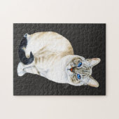 Lynx Point Siamese Cat Puzzle (Horizontal)