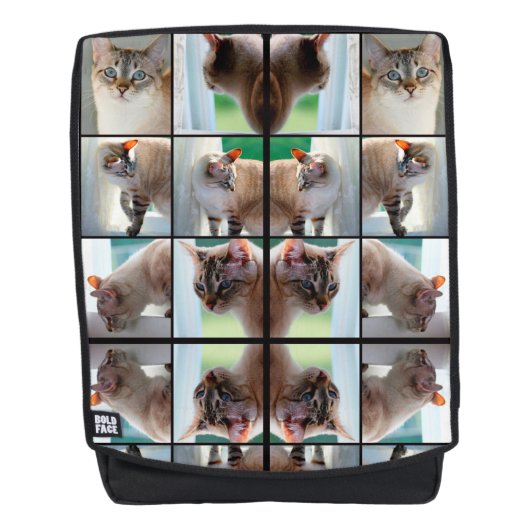 Lynx Point Siamese Cat Rucksack (Vorderseite)