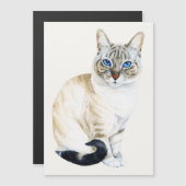 Lynx Point Siamese Katze Magnetkarte (Vorne/Hinten)