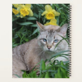 Lynx Point Siamese Katze Planer (Rückseite)
