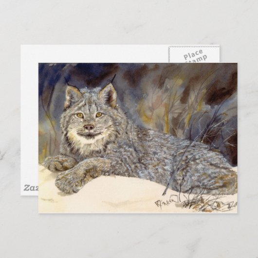 Lynx Postcard Postkarte (Vorne/Hinten)