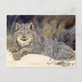 Lynx Postcard Postkarte (Vorderseite)