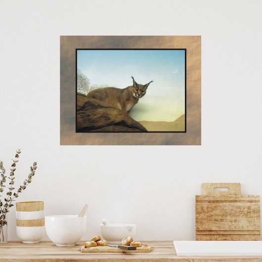 Lynx Poster (Küche)
