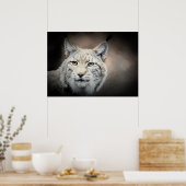 Lynx Poster (Küche)