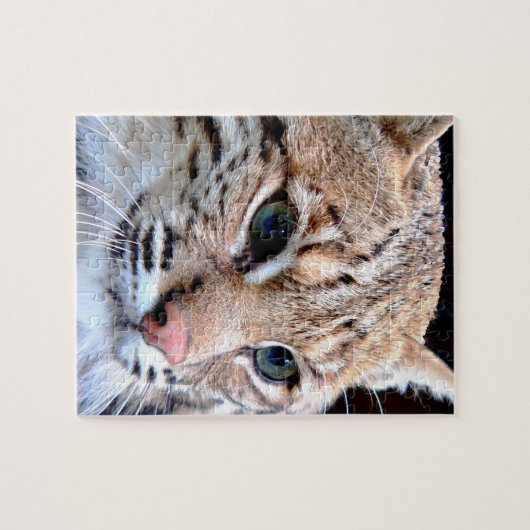 Lynx Puzzle (Horizontal)