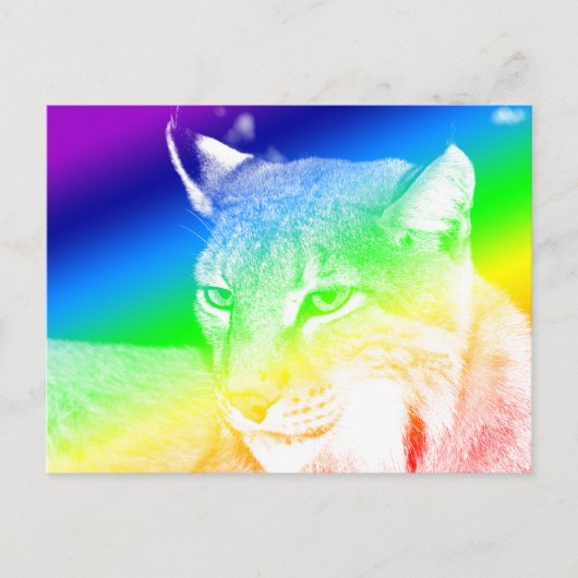 Lynx Rainbow Highlights Postkarte (Vorderseite)