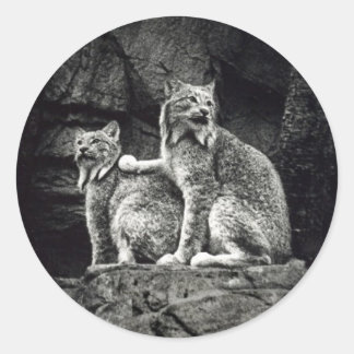 Lynx Runder Aufkleber