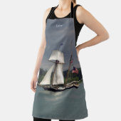 Lynx Schürze (InSitu)