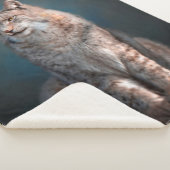 Lynx Sherpadecke (3/4)