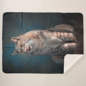 Lynx Sherpadecke (Vorderseite (Horizontal))