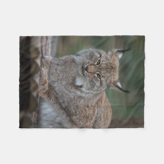 Lynx sieht dich an fleecedecke (Vorderseite (Horizontal))