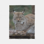 Lynx sieht dich an fleecedecke (Vorderseite)
