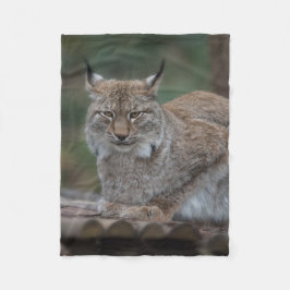 Lynx sieht dich an fleecedecke