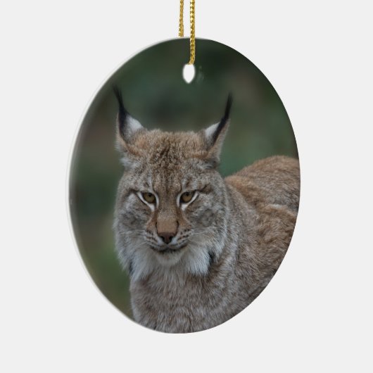 Lynx sieht dich an keramik ornament (Rechts)