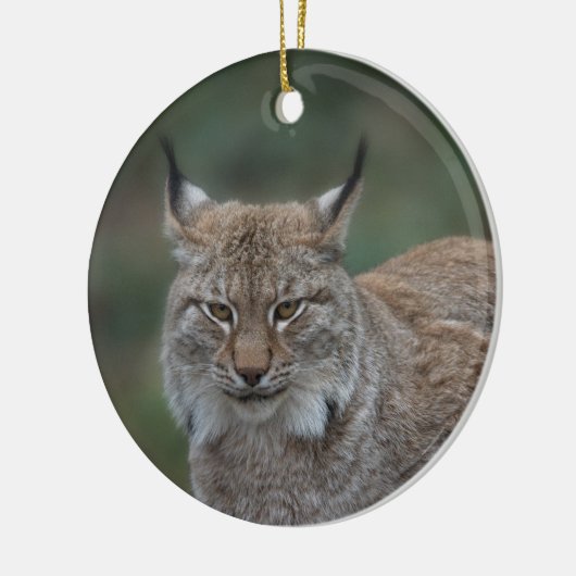 Lynx sieht dich an keramik ornament (Links)