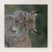 Lynx sieht dich an puzzle (Horizontal)
