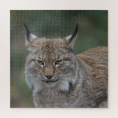 Lynx sieht dich an puzzle (Vertikal)