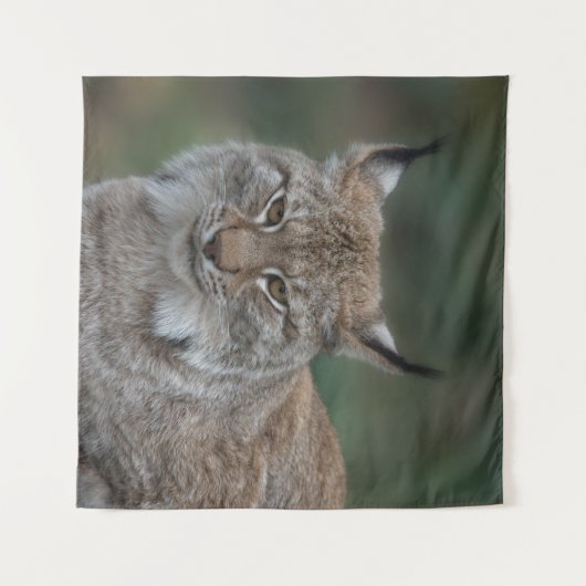 Lynx sieht dich an wandteppich (Vorderseite (Horizontal))